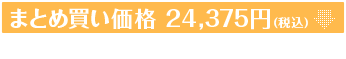 まとめ買い価格（5箱セット） 24,375円（税込）