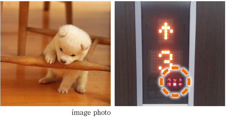 ペットと一緒に生活