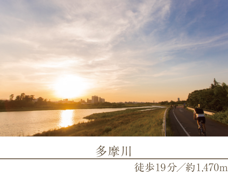 多摩川