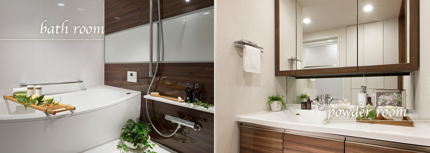 bath room / powder room