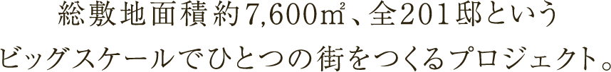 総敷地面積約7,600m2、全201邸というビッグスケールでひとつの街を作るプロジェクト