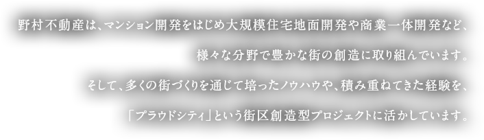 野村不動産は、マンション開発をはじめ大規模住宅地面開発や商業一体開発など、様々な分野で豊かな街の創造に取り組んでいます。そして、多くの街づくりを通じて培ったノウハウや、積み重ねてきた経験を、「プラウドシティ」という街区創造型プロジェクトに活かしています。