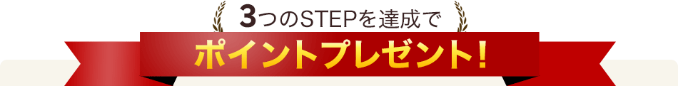 3ĤSTEPãǥݥȥץ쥼ȡ